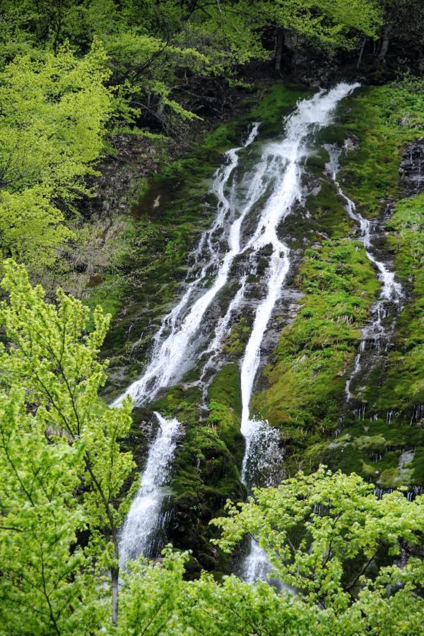 Gorska Hiska Vogar Nad Bohinjskim Jezerom Esterno foto